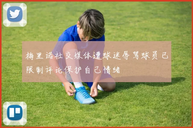 梅里诺社交媒体遭球迷辱骂球员已限制评论保护自己情绪
